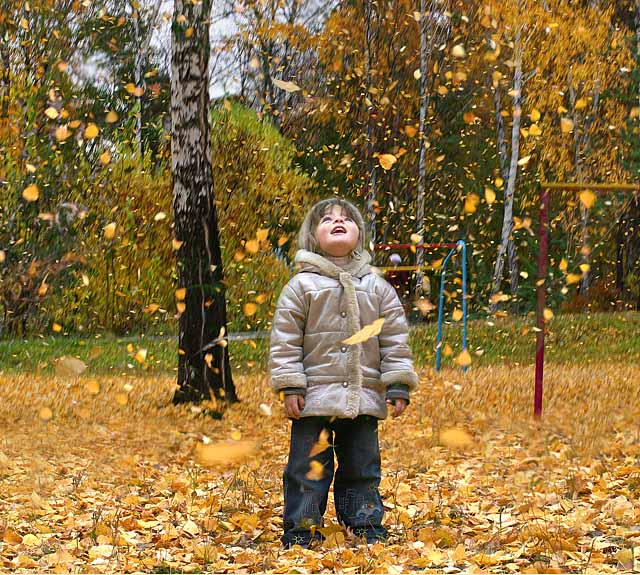 photo "Shower of gold" tags: landscape, portrait, autumn, children