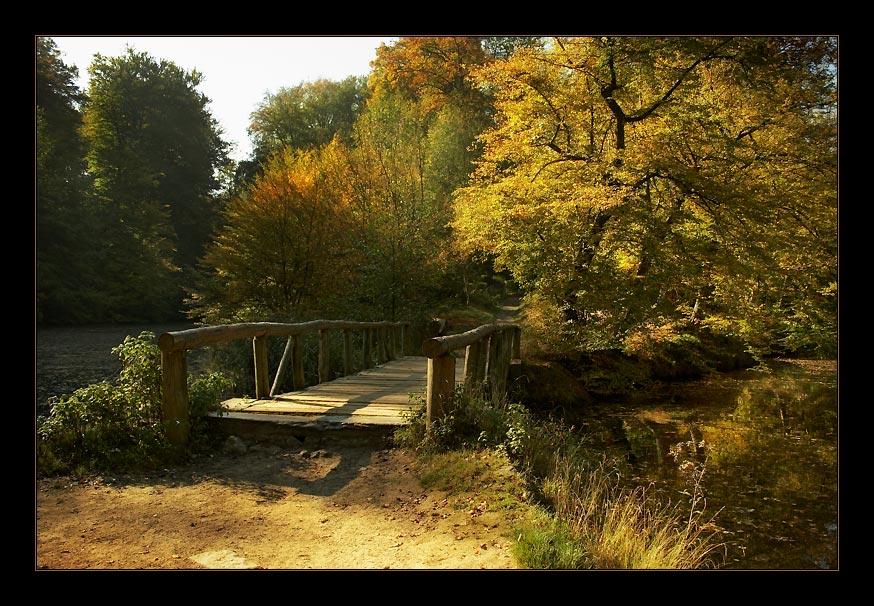 photo "The bridge (in autumn paints)-2" tags: landscape, autumn, forest