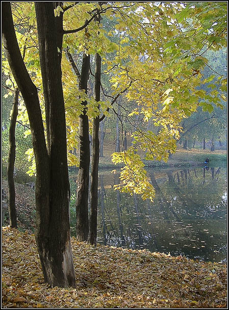 photo "The fisherman" tags: landscape, forest, water