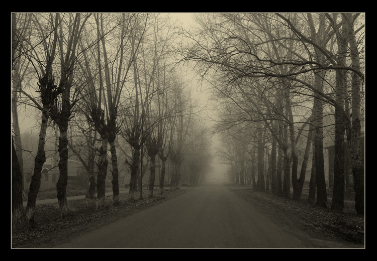 photo "Gloomy road" tags: misc., black&white, 