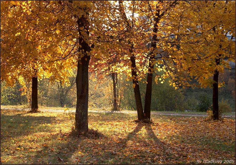 photo "***" tags: landscape, autumn, forest