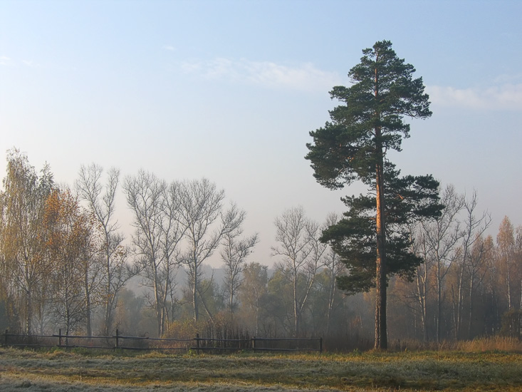 фото "Ранним осенним утром" метки: пейзаж, осень
