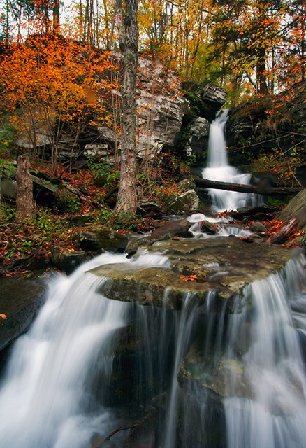 photo "Pure Mountain Water" tags: landscape, autumn, forest