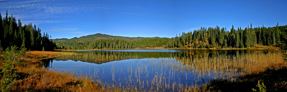 photo "Blue sky in the fall" tags: landscape, autumn