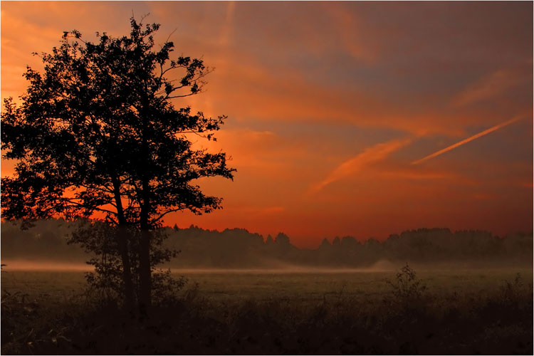 photo "Morning" tags: landscape, autumn, sunset