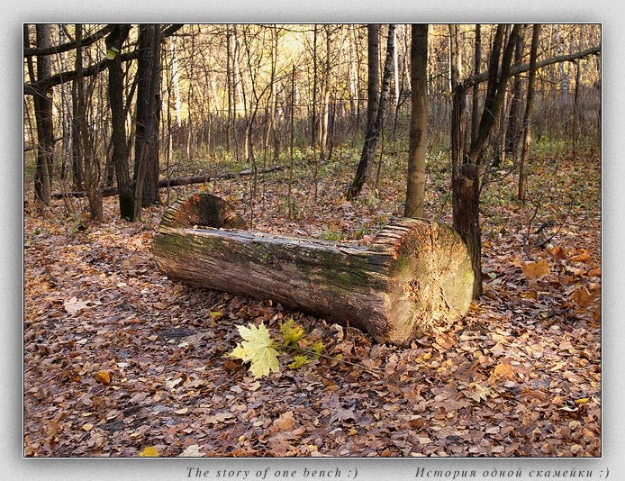 photo "The story of one bench :)" tags: landscape, autumn