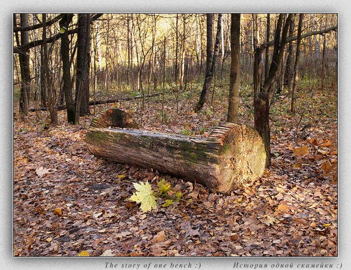 фото "История одной скамейки :)" метки: пейзаж, осень