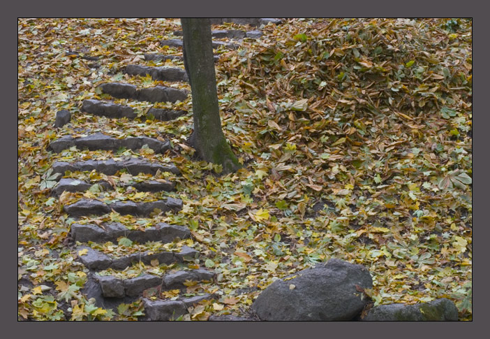 photo "w/n" tags: landscape, genre, autumn