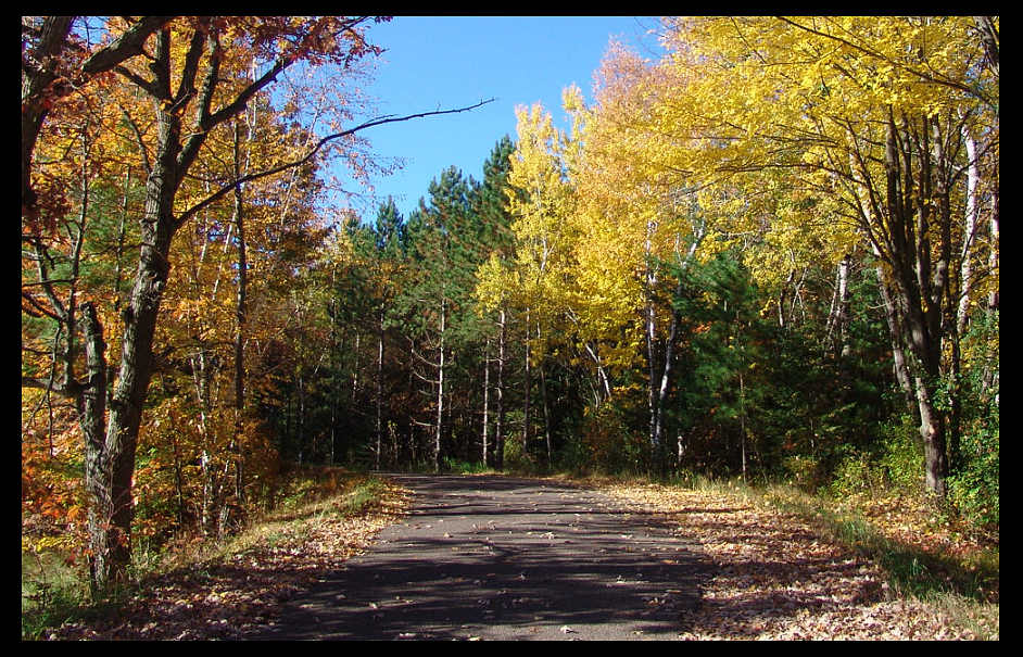 photo "Untitled photo" tags: landscape, autumn, forest