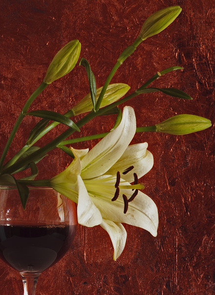 photo "Lily with red wine" tags: still life, 