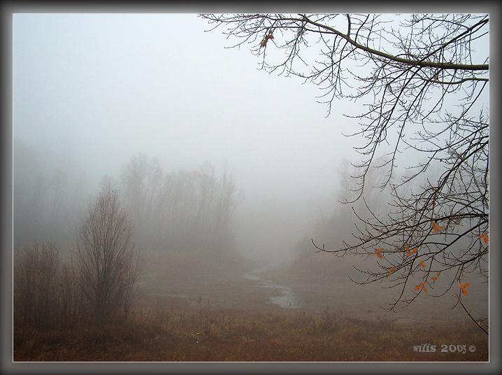 photo "Fog, as a part of a landscape" tags: landscape, autumn