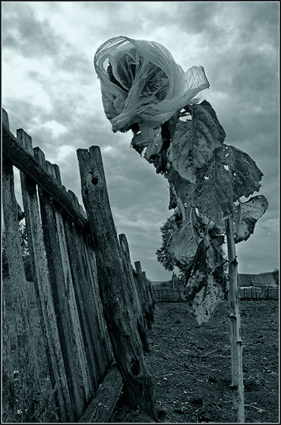 photo "On edge" tags: black&white, 