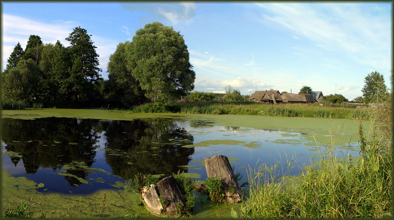 photo "Silent pond" tags: , 