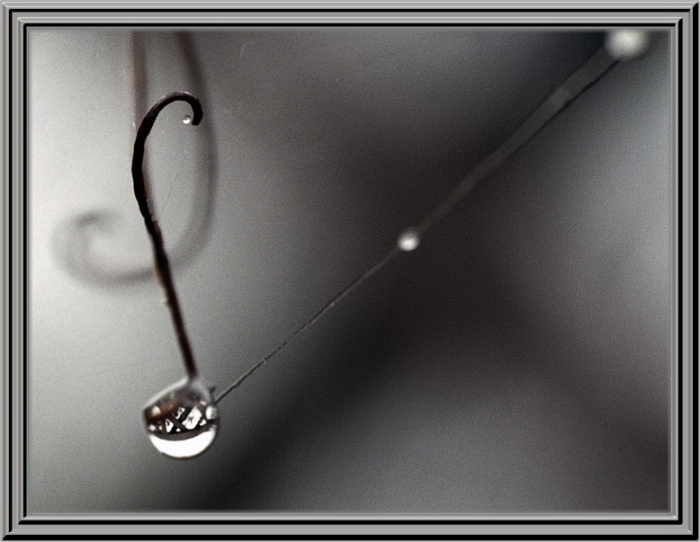 photo "Rain strings" tags: misc., genre, 