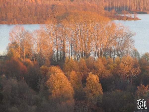 photo "Yoshkar-Ola. Autumn." tags: landscape, autumn, forest