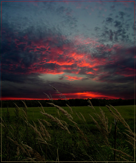 photo "Evening paints." tags: landscape, forest, sunset