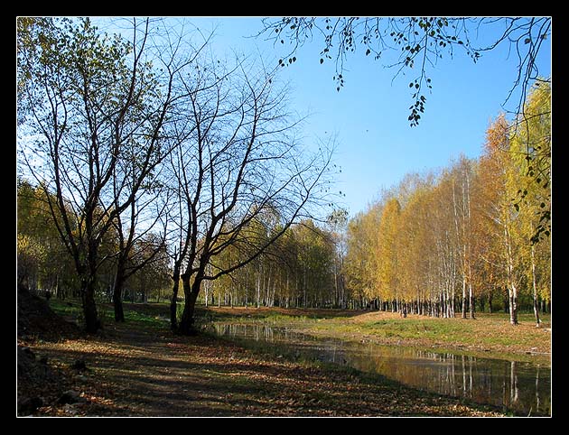 photo "1" tags: landscape, autumn, forest