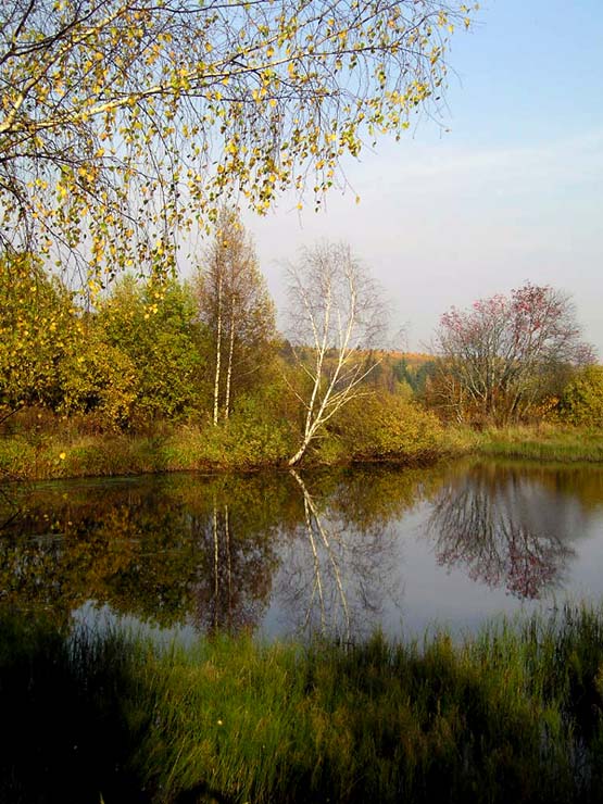 photo "Wood lake" tags: landscape, autumn