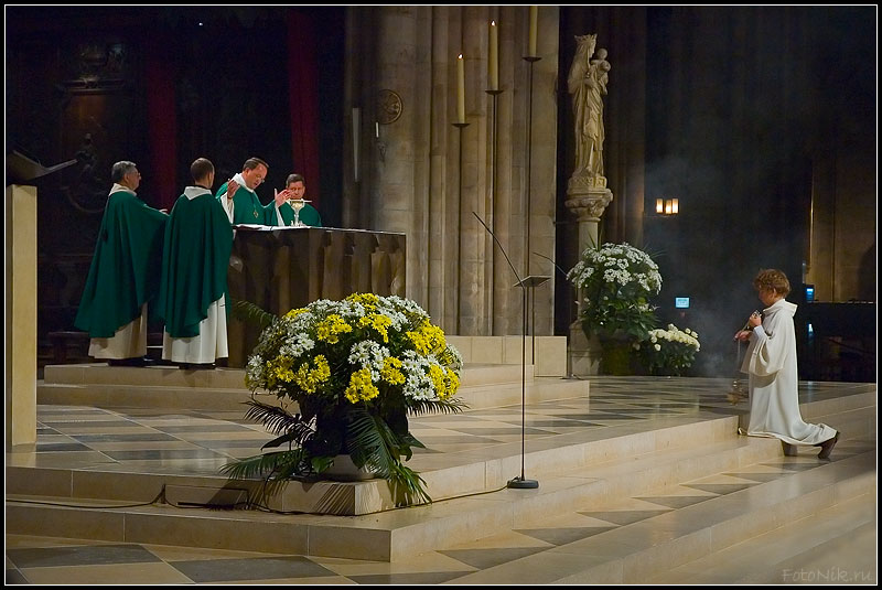 photo "Notre-Dame de Paris" tags: misc., travel, Europe