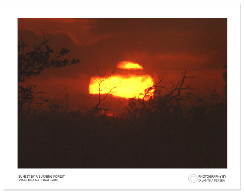 photo "Burning sun" tags: nature, landscape, sunset