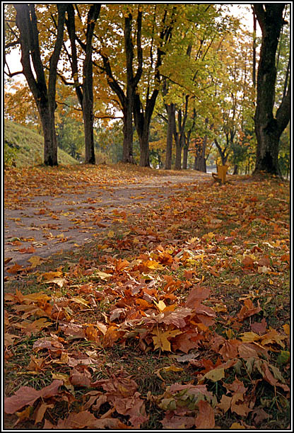 photo "In old park" tags: landscape, autumn