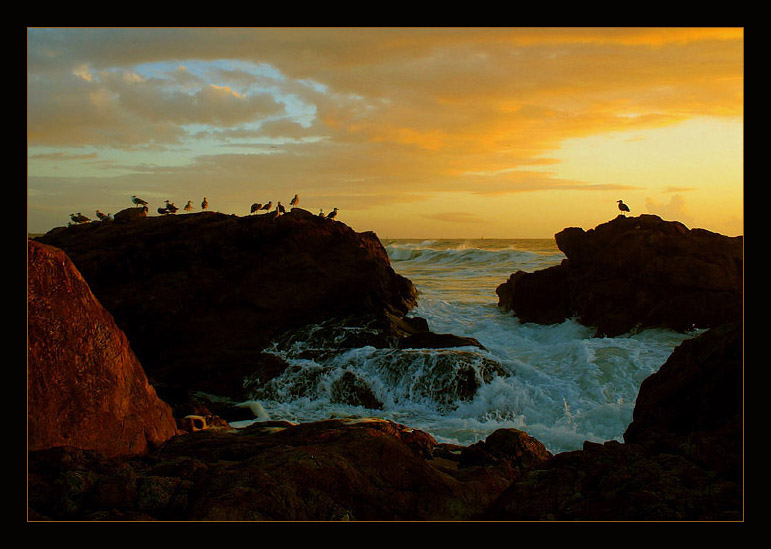 фото "bay of seaguls" метки: пейзаж, 