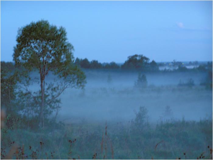 photo "Dark blue fog..." tags: landscape, night