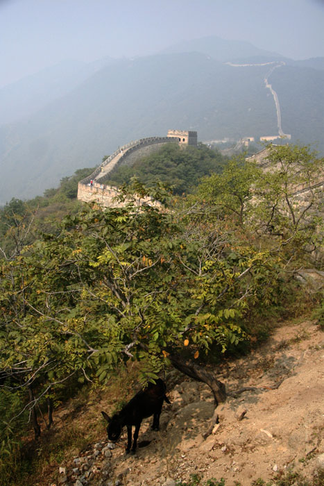 photo "Great Wall" tags: landscape, travel, Asia