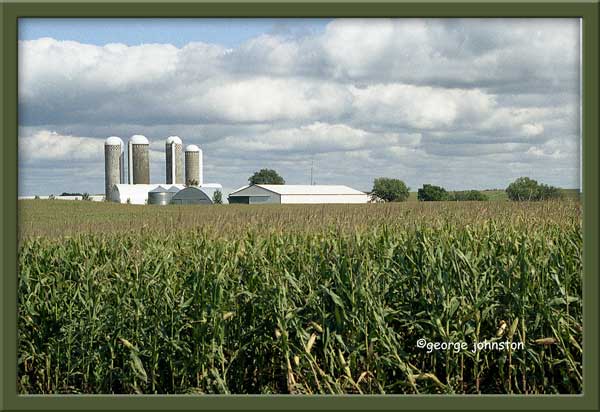 photo "Minnesota Farm" tags: landscape, reporting, summer