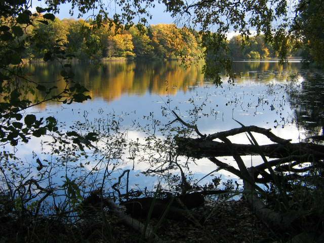 фото "Lake" метки: природа, 