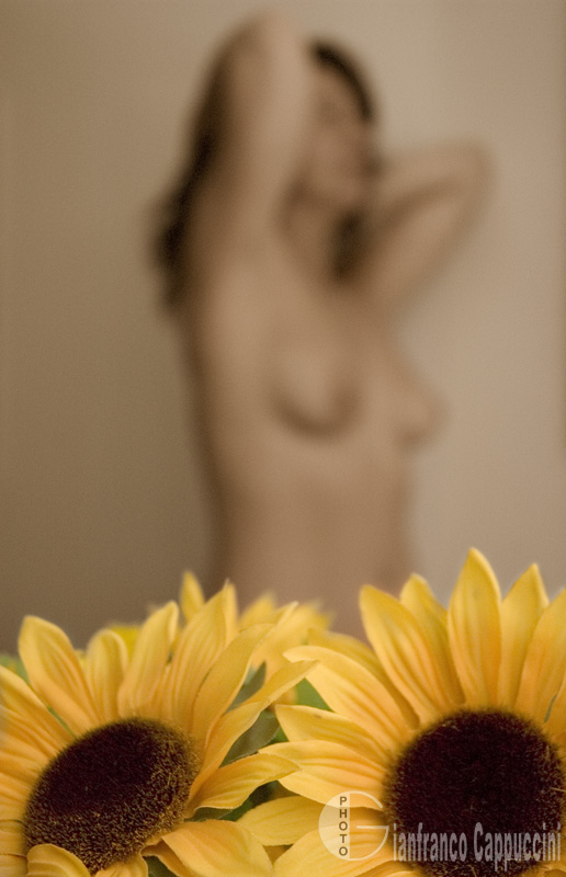 photo "sunflowers" tags: misc., 