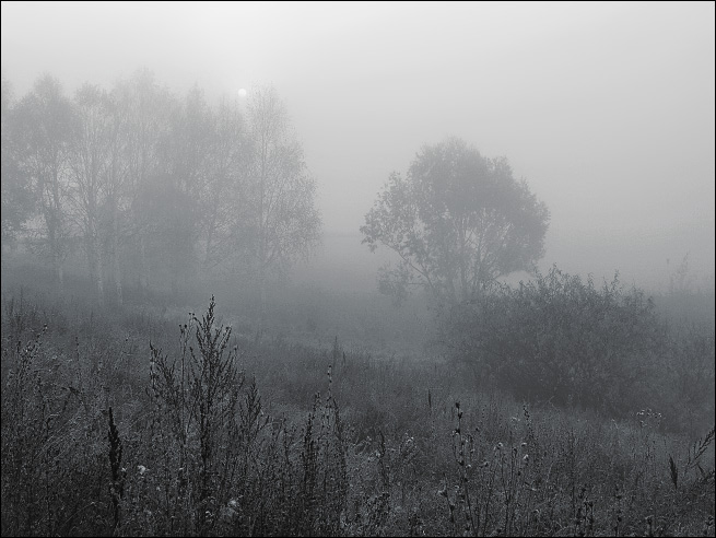 фото "Утро." метки: пейзаж, закат, осень