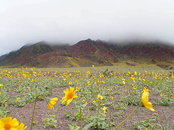 photo "Genesis at Death Valley" tags: travel, landscape, North America