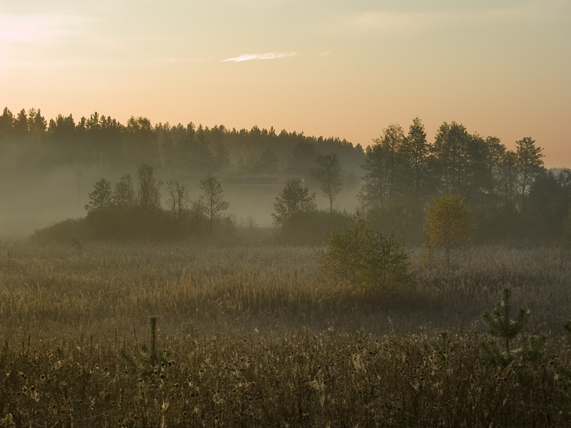 photo "A I go, and I go behind a fog..." tags: landscape, autumn, sunset