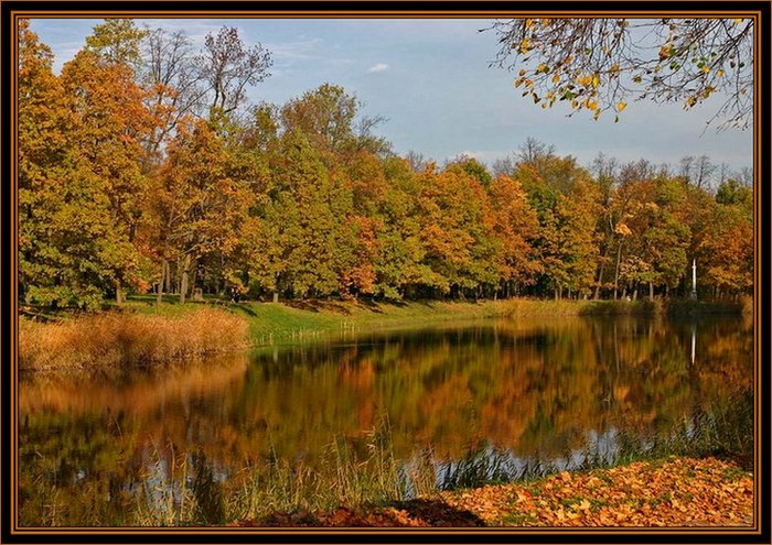 photo "All Colours Of The Autumn" tags: landscape, autumn