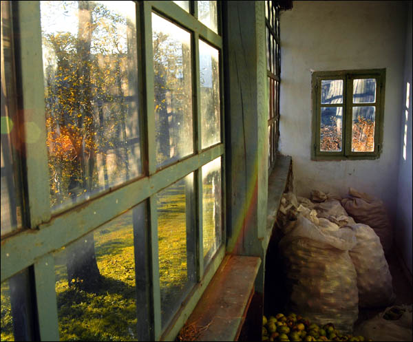 фото "window 2" метки: разное, 