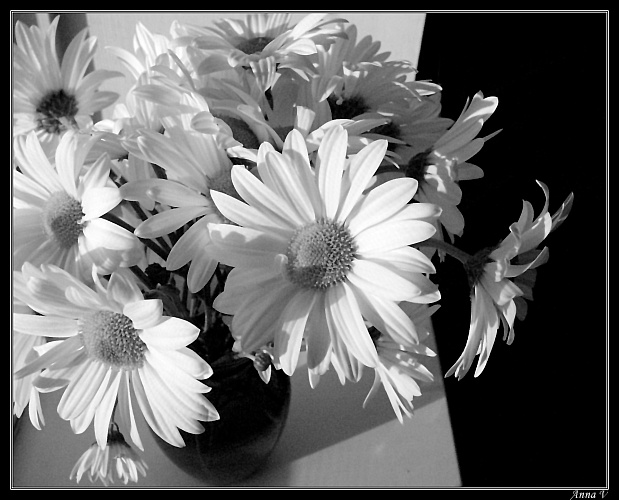 photo "... from Romka" tags: still life, black&white, 