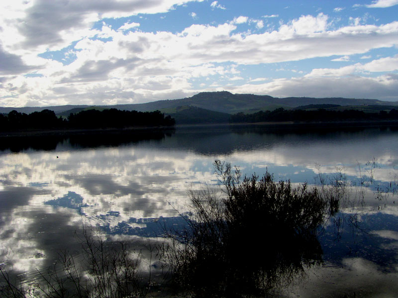 photo "A soul portrait" tags: landscape, abstract, 