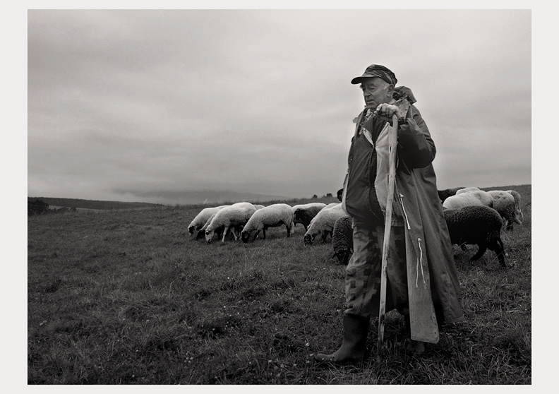photo "SHEPHERD" tags: genre, nature, 
