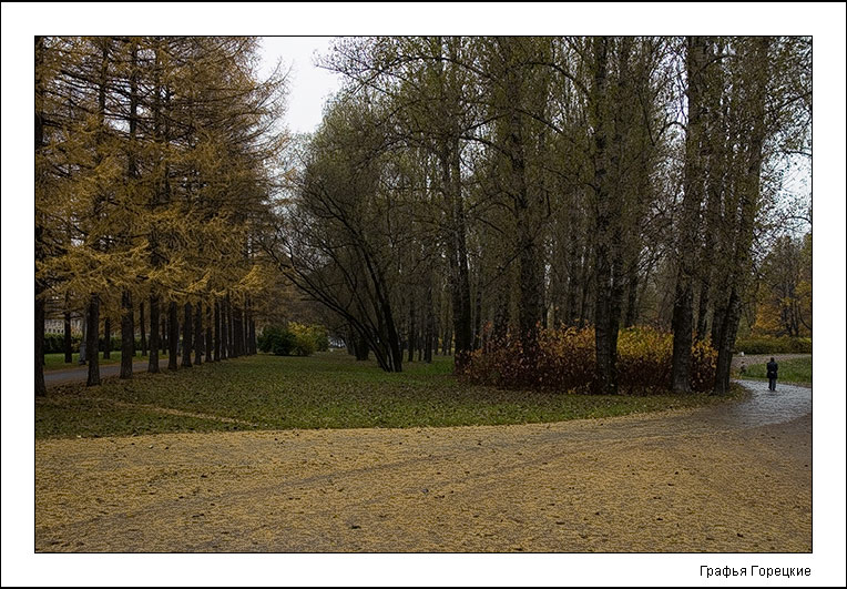 photo "Сirculation" tags: landscape, nature, autumn
