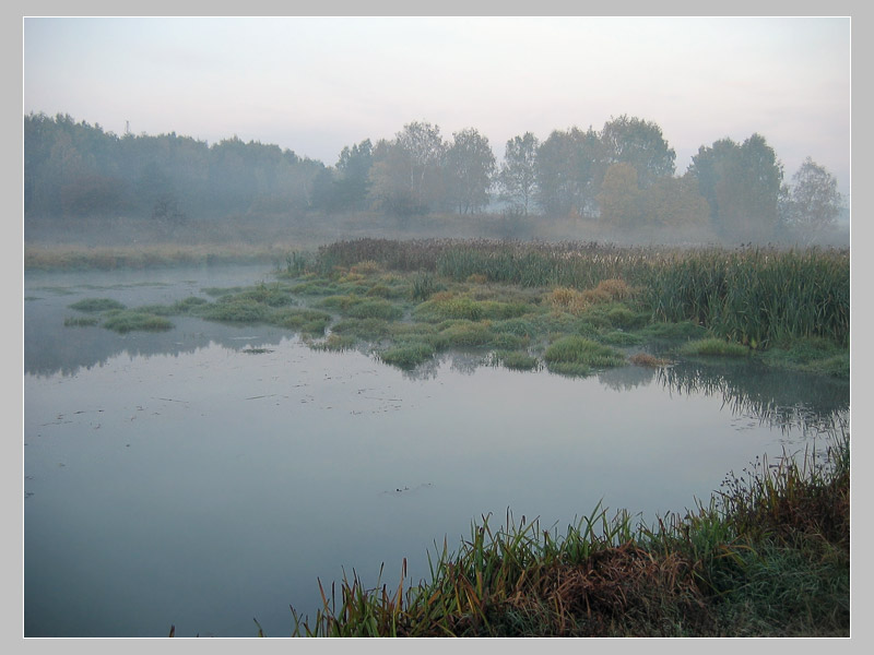 photo "Gloomy" tags: landscape, autumn, water