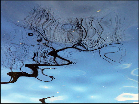 photo "Dream" tags: abstract, 