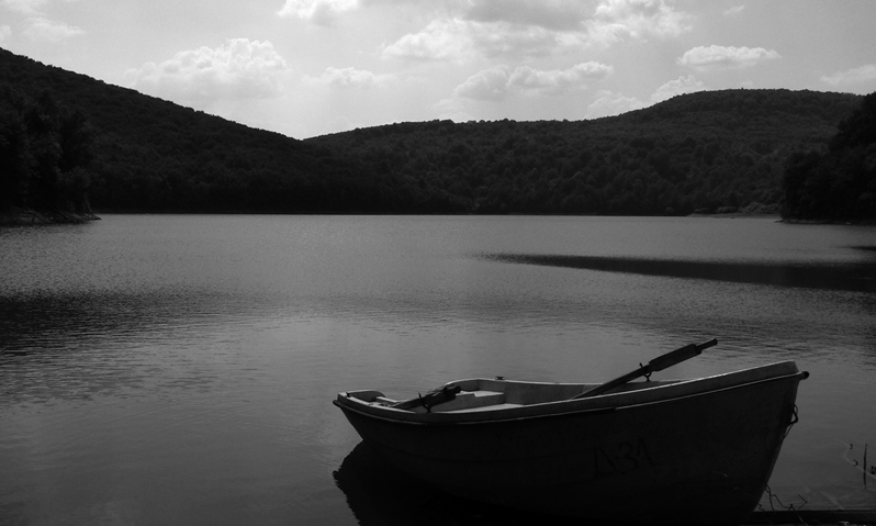 photo "." tags: misc., 