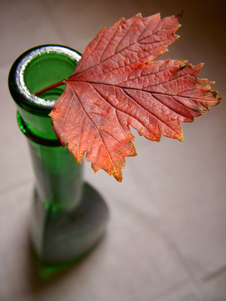 photo "Autumn from the bottle" tags: still life, 