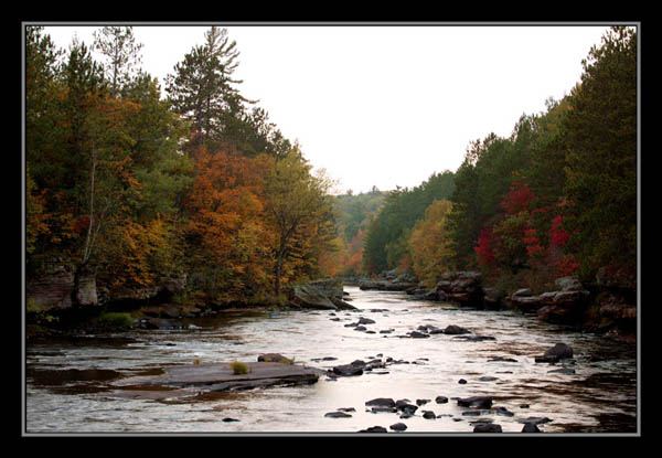 photo "Tranquility" tags: nature, 