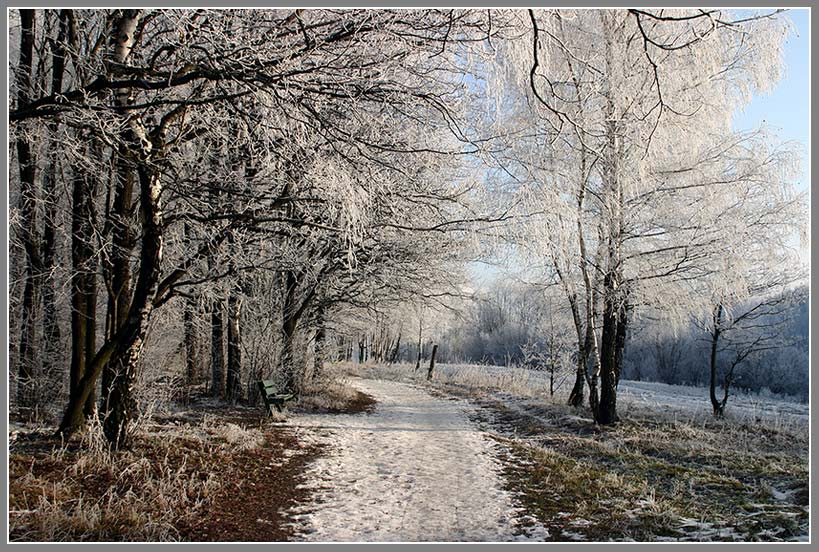 photo "The beginning of winter" tags: landscape, winter