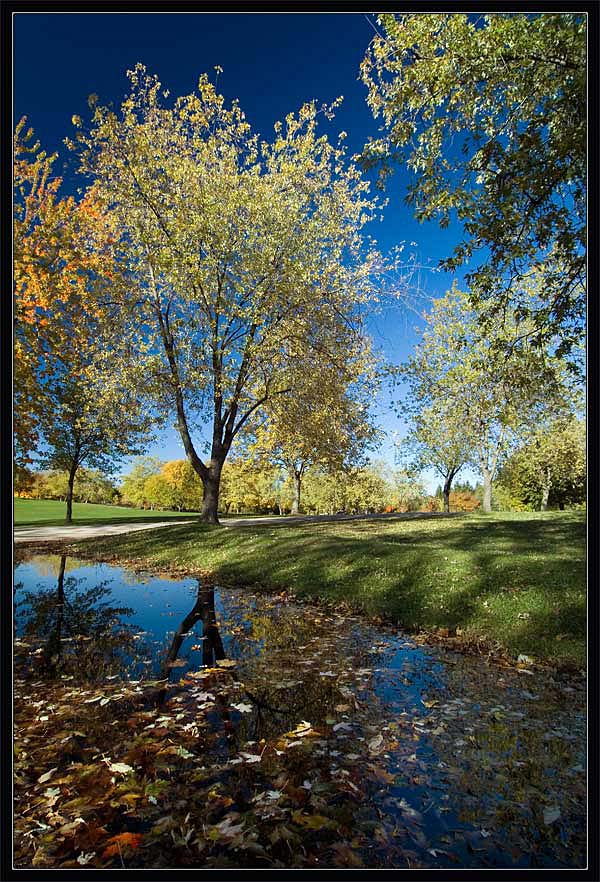 photo "My October" tags: landscape, autumn, water