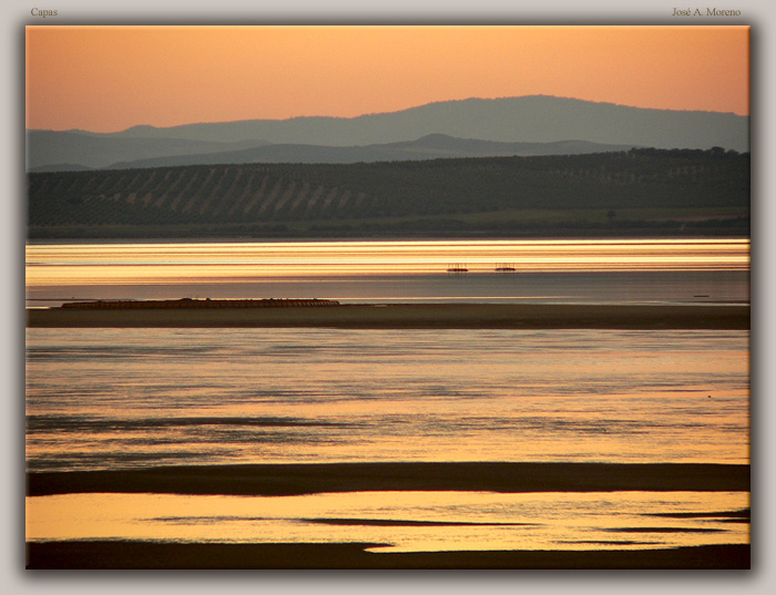 photo "Layers of gold" tags: landscape, sunset, water