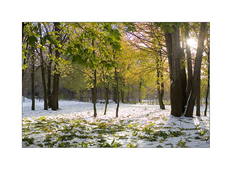 фото "Осенний зимний этюд" метки: пейзаж, зима, осень