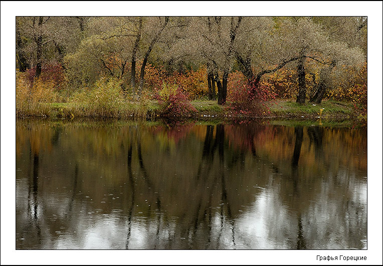 photo "Вiversity of colours" tags: landscape, autumn